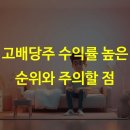 고배당주 수익률 높은 순위와 주의할 점