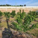 몽실농장 이미지