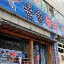 본동물회 이미지