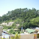 진막마을회관 이미지