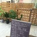 oh my dog(오마이독) | 성남애견카페/분당애견카페 : 애견수영장이 있는 오마이독 (OH MY DOG)