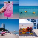 (주)제트뷰이알 | 강릉 강문해변 강문솟대다리 강문해수욕장 개장 현황 바다 여행 명소 추천