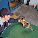 순례자의 집 | 대부도 카페 빵순례자들의 성지, 대형 베이커리 카페 '리베르테' 주말 드라이브 코스 추천