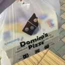 일산호수공원에서 즐긴 햇살 피크닉🍕 도미노피자 1+1 후기!