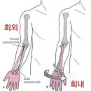 언더로우 이미지