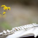 플루트(초급) 이미지