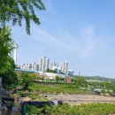 서울오륜초등학교 이미지