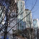 분당-174 이미지