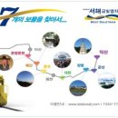 마루여행주