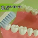 연세림치과의원 이미지