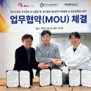 렉스소프트 이미지
