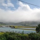 보라농장 이미지