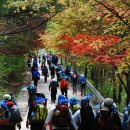 (주)예솔 이미지