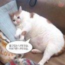인성