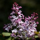 김포광장약국 이미지