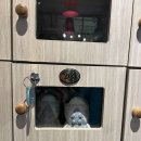 선진L&D2호점 | DAD // 다낭 핑크성당 근처 지압 강한 마사지샵 추천 골든로터스 방문 후기