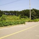여주-0666 머니투데이