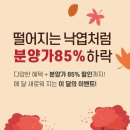 스핑크스가격 먼치킨래가퍼 숏레그 러시안블루 렉돌 고양이무료분양 진행은 미유펫 부산 점에서 고양이키우기 어렵지 않아요! 이미지