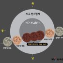 블루문컴퍼니
