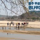 무섬마을 | 영주 무섬마을 외나무다리 현실후기및 핵심볼거리 3종