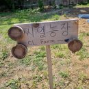 CL농장 이미지