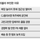 H&amp;B 시장 마케팅 전략