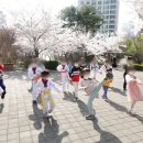 경희대더함태권도장