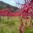여울목슈퍼