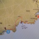 매일더탐나 이미지