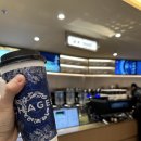 6899 | LUNABERRi 요거트 맛집 / 동파육 맛집 Jesse 레스토랑 / 시내에서 푸동공항까지 / 춘추항공 9C6899편 후기