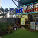 팔레드시즈부동산중개 이미지