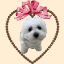 천일유치원 | [일상] 2월 1주차 - 1000일 기념일, 성수 데이트, 정그리다