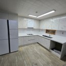 부평 페트 이미지