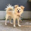 별이 그린 호수 이미지