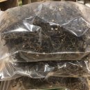 수지소생한의원 이미지