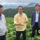 고랭지식품