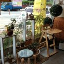 이상한키친 이미지