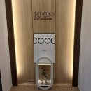 리온 메디 이미지