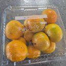고당도 - 용인시 처인구 양지로 125-3 | [고당도 감귤 구매 후기]비싸도 맛있으면 아이 간식으로 충분했다