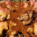 송은농장 이미지