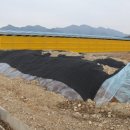 금한농장 이미지