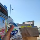 배고픈사자 협동조합 | 🌺홍매화 듬뿍인 구례 화엄사 탐방하기 +모과나무 기둥의 구층암