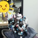 오목천동 호매실동 금곡동 고색동 미용실 앰플펌 머리잘하는곳 이안미장 볼륨펌 클리닉펌 웰빙펌 천연펌