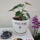 달려라한의원 이미지