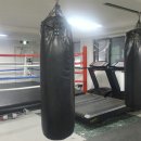 팀건복싱 이미지