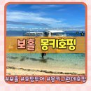보홀 호핑투어 몽키호핑 그란데호핑투어 돌고래+발리카삭 거북이까지 가성비 최고 투어