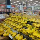 번창축산 | 신라식자재마트 경주 안강점 오픈 방문 후기 (할인 품목 추천템 &amp; 주차 정보)