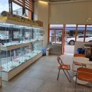 펫 중개소 이미지