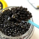 임페리얼 | 러시안캐비어하우스 바에리 임페리얼 캐비어 후기｜집에서 즐기는 캐비어 핑거푸드 홈파티