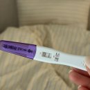 역전약국 | [임신기록] 임신 5주-8주차 증상(아기집 확인, 심장소리 시기, 임신확인서, 임신초기 증상 입덧, 조리원...